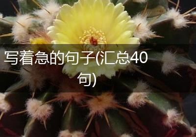 写着急的句子(汇总40句)
