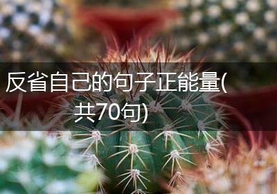 反省自己的句子正能量(共70句)