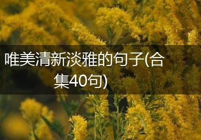 唯美清新淡雅的句子(合集40句)