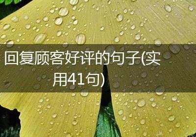 回复顾客好评的句子(实用41句)