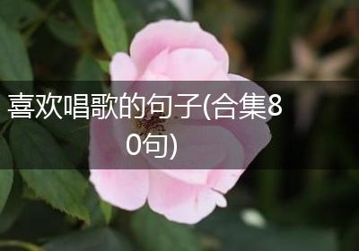 喜欢唱歌的句子(合集80句)