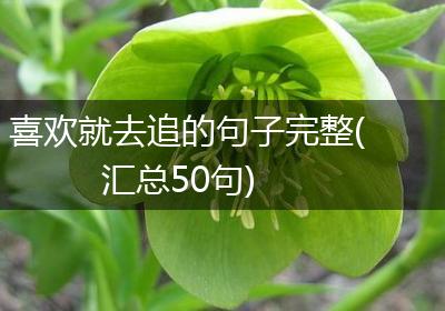 喜欢就去追的句子完整(汇总50句)