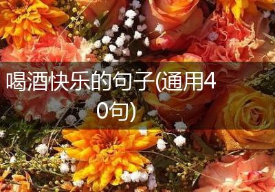 喝酒快乐的句子(通用40句)
