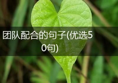 团队配合的句子(优选50句)