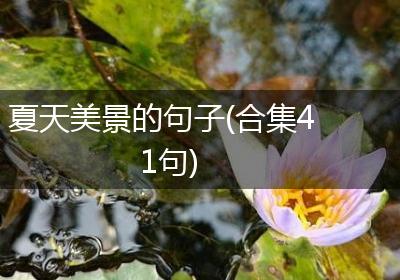 夏天美景的句子(合集41句)
