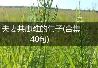 夫妻共患难的句子(合集40句)