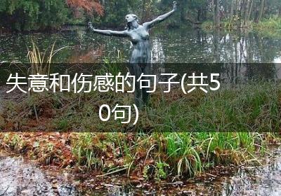 失意和伤感的句子(共50句)