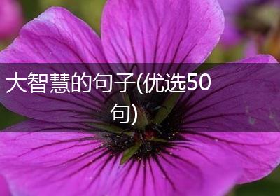大智慧的句子(优选50句)