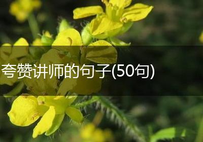 夸赞讲师的句子(50句)