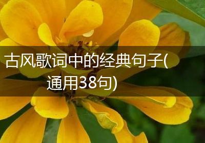 古风歌词中的经典句子(通用38句)