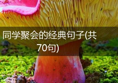 同学聚会的经典句子(共70句)