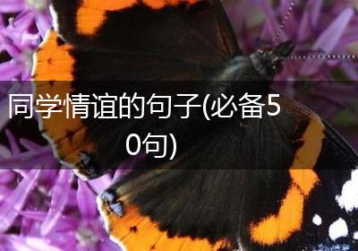 同学情谊的句子(必备50句)