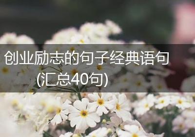 创业励志的句子经典语句(汇总40句)