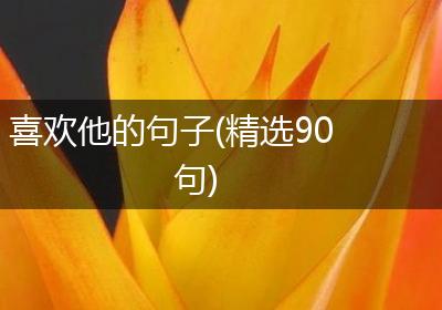 喜欢他的句子(精选90句)