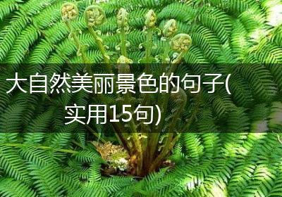 大自然美丽景色的句子(实用15句)