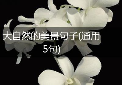 大自然的美景句子(通用5句)