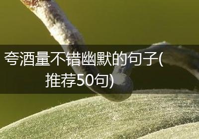 夸酒量不错幽默的句子(推荐50句)