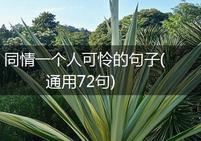 同情一个人可怜的句子(通用72句)