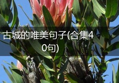 古城的唯美句子(合集40句)