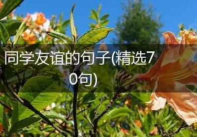 同学友谊的句子(精选70句)