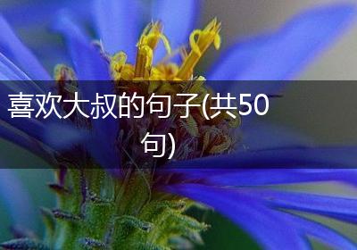 喜欢大叔的句子(共50句)