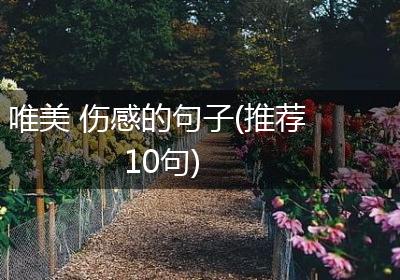 唯美 伤感的句子(推荐10句)