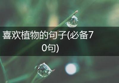 喜欢植物的句子(必备70句)