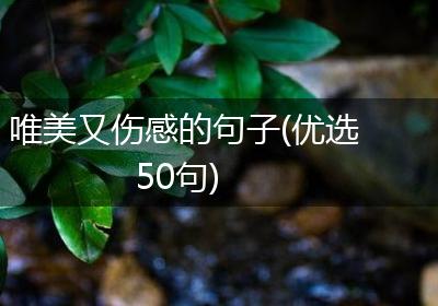 唯美又伤感的句子(优选50句)