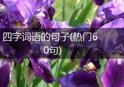 四字词语的句子(热门60句)