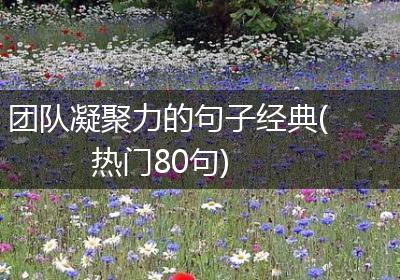 团队凝聚力的句子经典(热门80句)