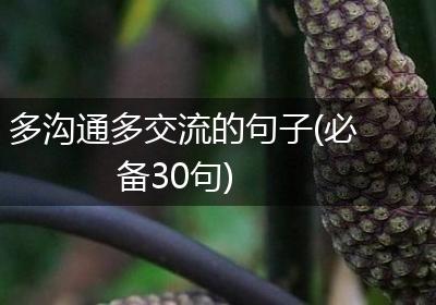 多沟通多交流的句子(必备30句)
