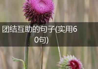 团结互助的句子(实用60句)
