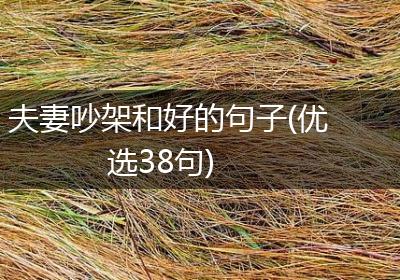 夫妻吵架和好的句子(优选38句)