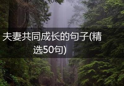 夫妻共同成长的句子(精选50句)