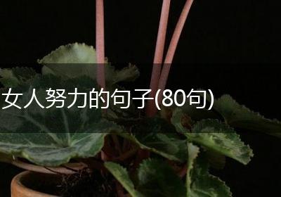 女人努力的句子(80句)