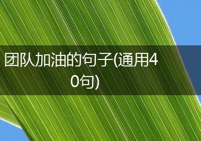 团队加油的句子(通用40句)