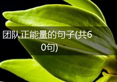 团队正能量的句子(共60句)