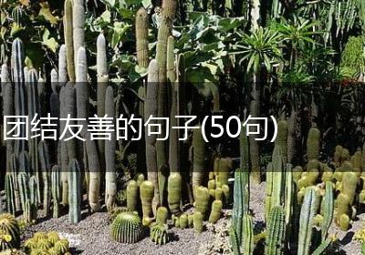 团结友善的句子(50句)