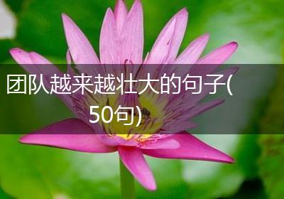 团队越来越壮大的句子(50句)