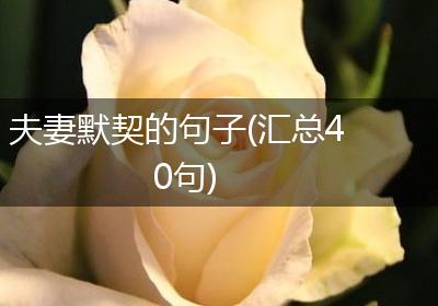 夫妻默契的句子(汇总40句)