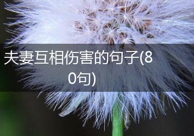 夫妻互相伤害的句子(80句)
