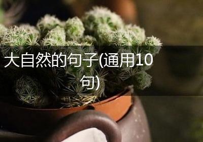 大自然的句子(通用10句)