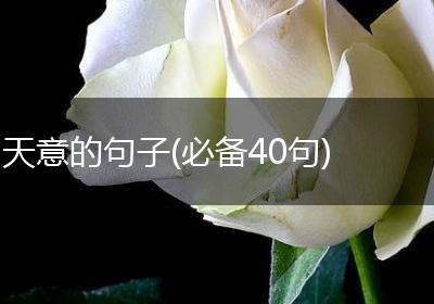 天意的句子(必备40句)