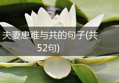 夫妻患难与共的句子(共52句)