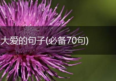 大爱的句子(必备70句)