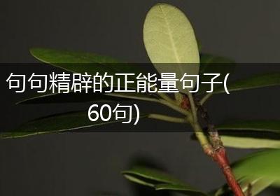 句句精辟的正能量句子(60句)