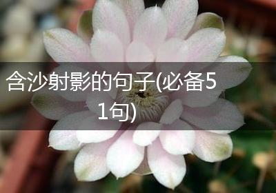 含沙射影的句子(必备51句)