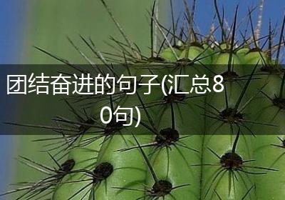 团结奋进的句子(汇总80句)