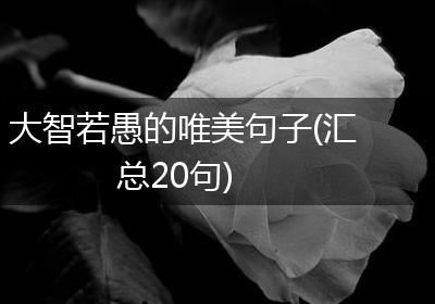 大智若愚的唯美句子(汇总20句)