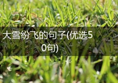 大雪纷飞的句子(优选50句)